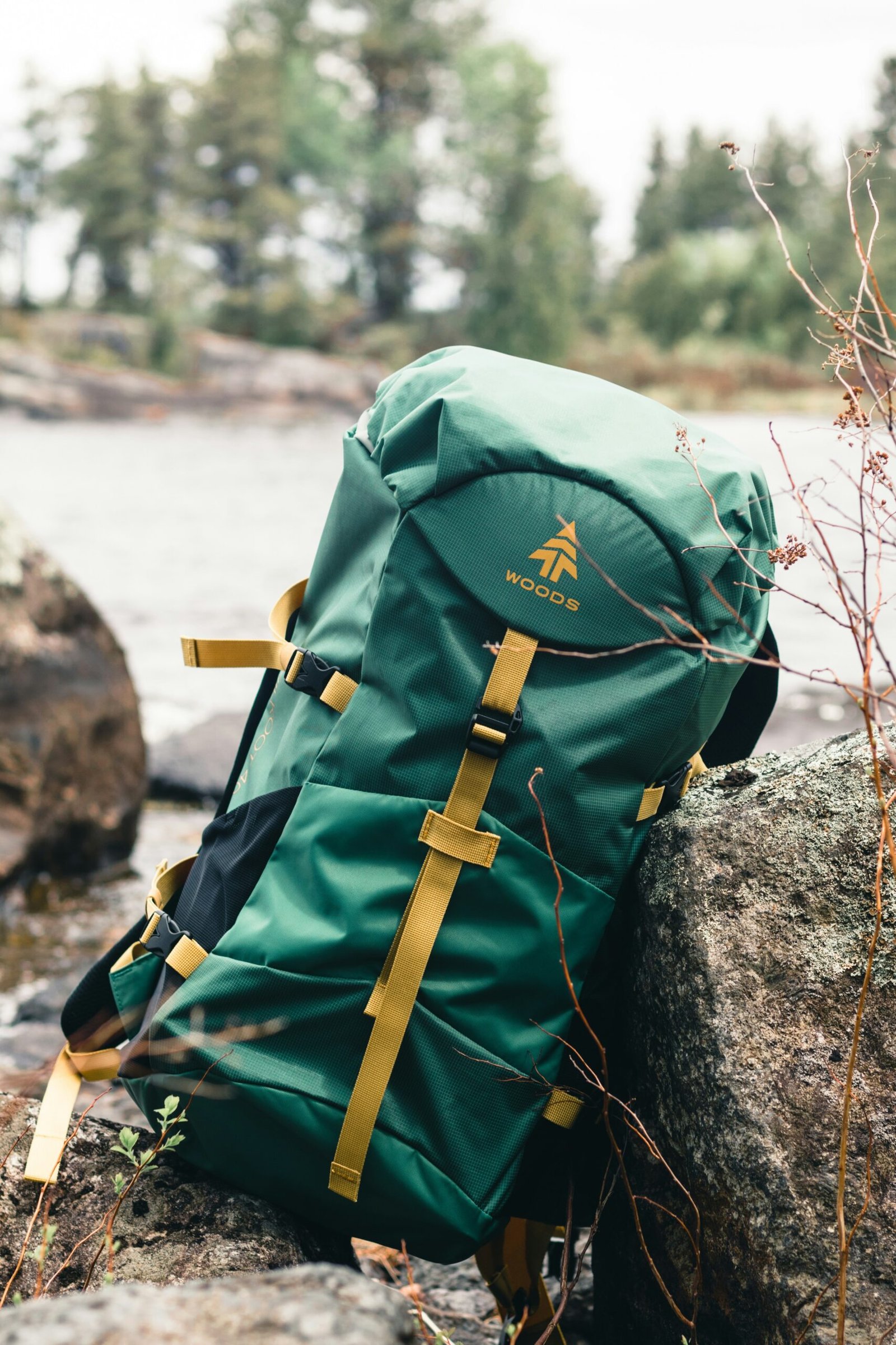 We Help Our Pack Track Down the Best Gear for Every Adventure!